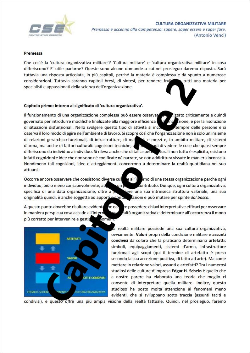 Cultura_organizzativa_militare_1_(by_Venci)_02