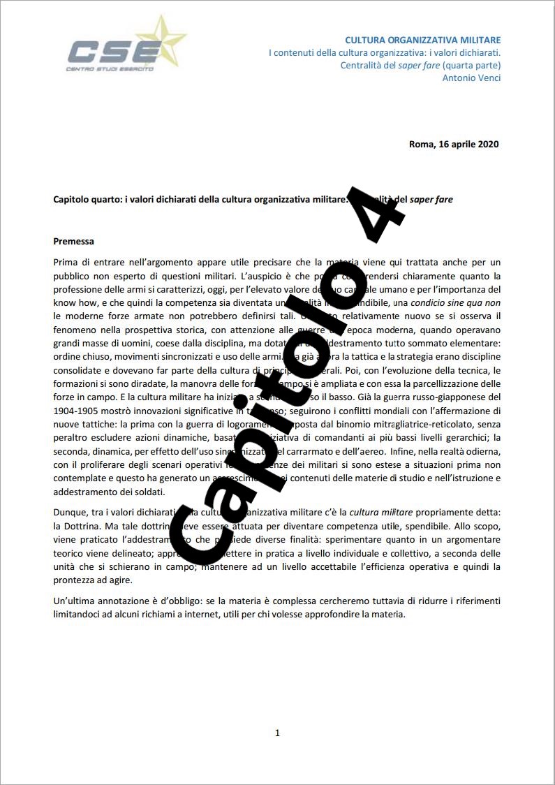 Cultura_organizzativa_militare_Cap._4_01