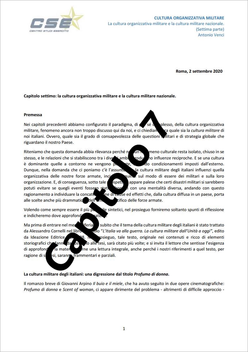 Cultura_organizzativa_militare_Cap._7_01