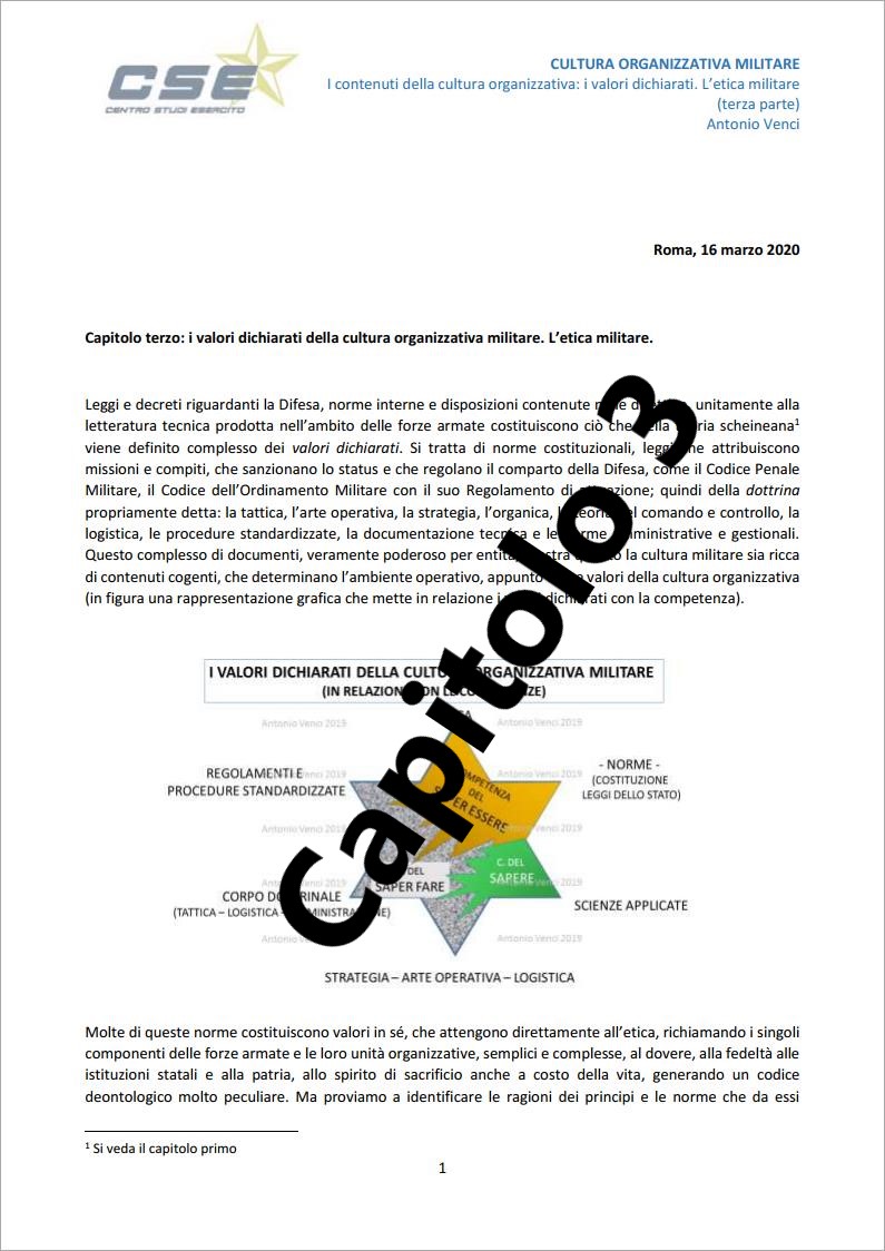 Cultura_organizzativa_militare_cap._3___(by_Venci)_03